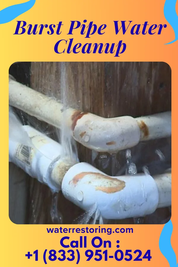Burst Pipe Water Cleanup in Hebron, MD