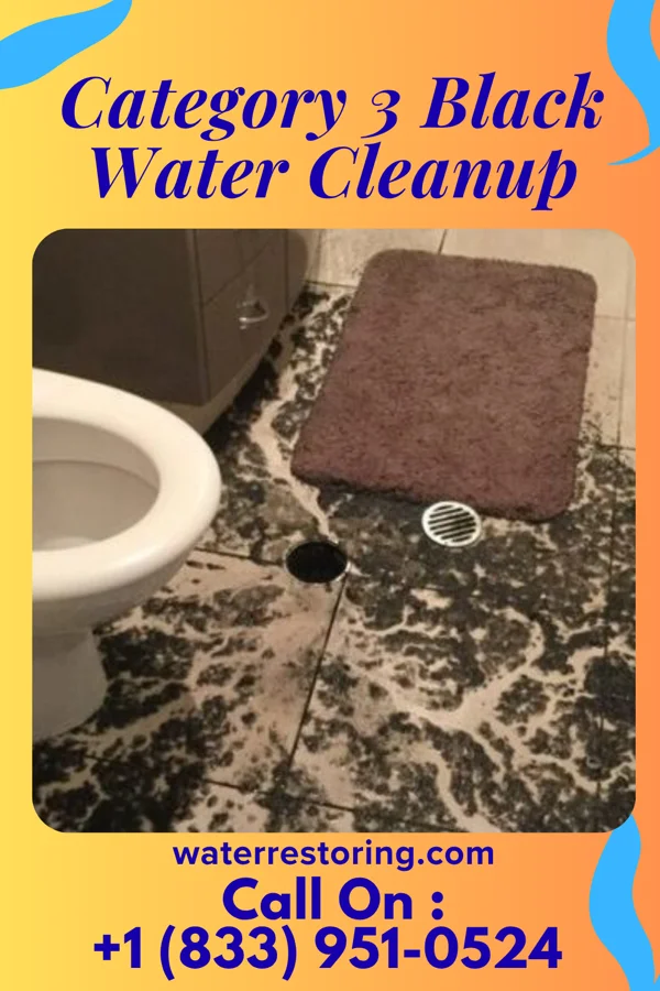 Category 3 Black Water Cleanup in Hebron, MD