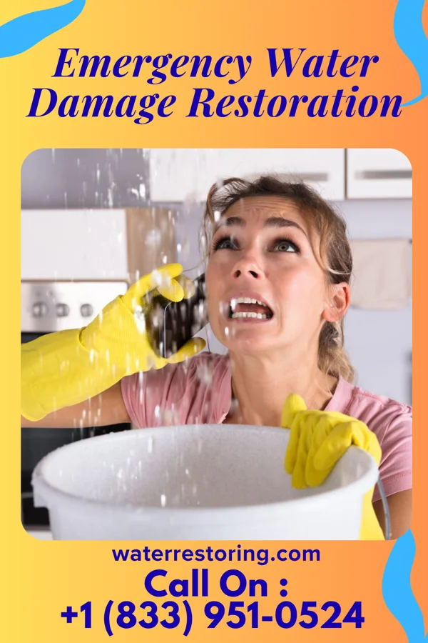 Emergency Water Damage Restoration in Hebron, MD