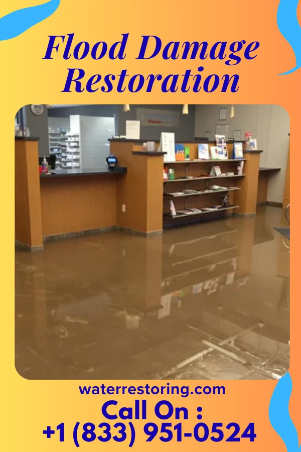 Flood Damage Restoration in Hebron, MD