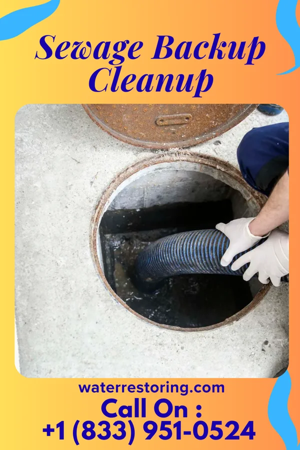 Sewage Backup Cleanup in Hebron, MD