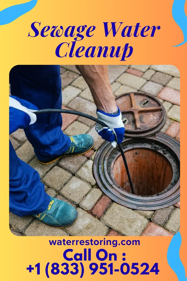 Sewage Water Cleanup in Hebron, MD